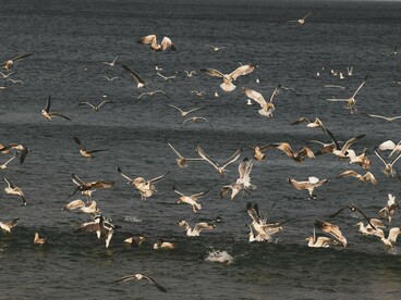 Tudo é estruturado enquanto vivência presente, entretanto se está sempre construindo e ocupado com situações passadas e preocupações futuras