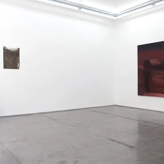 Barbara Hammer, Strip to the bones, vue de l'exposition. Avec l'aimable autorisation de la Galerie Derouillon