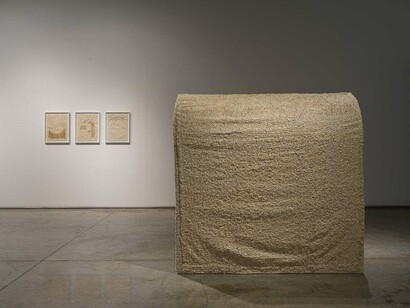 Richi Bhatia, Antevasin, the one who sits at the border of two worlds, exhibition view. Courtesy of Gallery Isabelle Van Den Eynde
