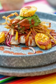 A colorful dish, featuring seafood topped with avocado and sauce, embodies the vibrant and diverse culinary landscape of Mexico City, where traditional ingredients and innovative approaches create a rich tapestry of flavors for every palate