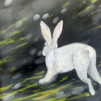 Marie Cameron, Fade to white - Rabbit, 2017. Courtesy of Andra Norris Gallery