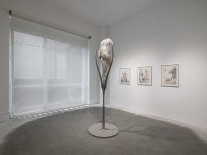 Ivana Bašić, Fantasy vanishes in flesh, veduta della mostra. Per gentile concessione di Francesca Minini. Foto di Andrea Rossetti