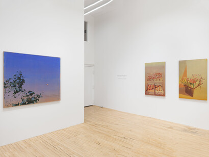 Michelle Paterok, Summer’s edge, exhibition view. Courtesy of Shrine