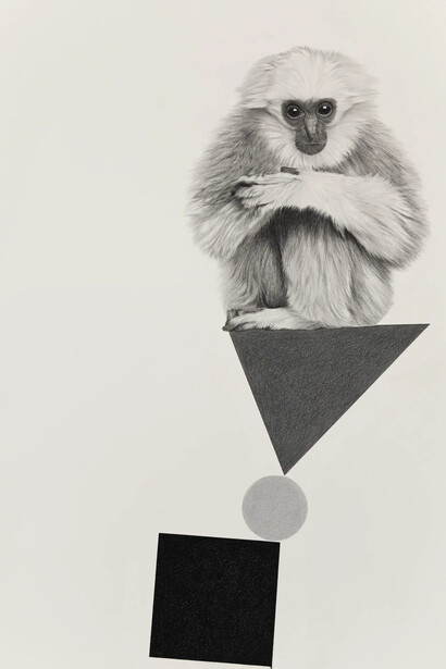 Karl Haendel, Monkey on shapes (detail), 2025. Courtesy of Vielmetter