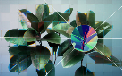 Una planta reflejada en una cuadrícula de vidrio fragmentada. Esta cuadrícula es una metáfora visual de cómo la inteligencia artificial (IA) y las tecnologías de aprendizaje automático pueden utilizarse para extraer y analizar datos biológicos de forma innovadora, así como de la estructura repetitiva y autosimilar de estos sistemas