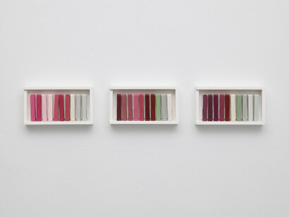 Lisette de Greeuw and Aysen Kaptanoglu, What grows unseen, exhibition view. Courtesy of Josilda da Conceição