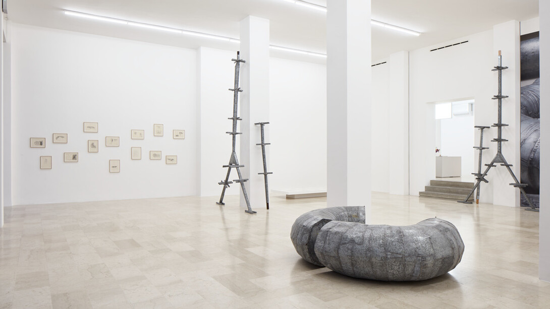 Ana Lupas, Armature, exhibition view. Courtesy of P420 