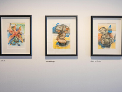 Jaroslava Bičovská, California diary, exhibition view. Courtesy of Danubiana