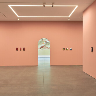 Nicolas Party, Dead fish, exhibition view. Courtesy of Karma Gallery