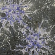 Alberto Di Fabio (2013), Campi magnetici. Acrylic on canvas, 31 12 x 31 12 inches (80 x 80 cm)