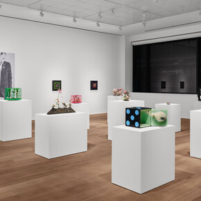 Tetsumi Kudo, Microcosms, exhibition view. Courtesy of Hauser & Wirth Gallery