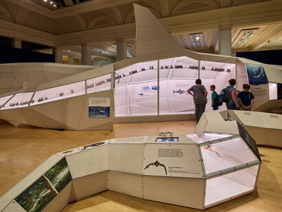 Giants, exhibition view. Courtesy of Birmingham Museum and Art Gallery