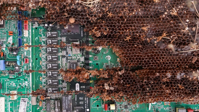 Eirini Tampasouli, Electronic honeycombs 3 (detail), 2025. Courtesy of Roma Gallery