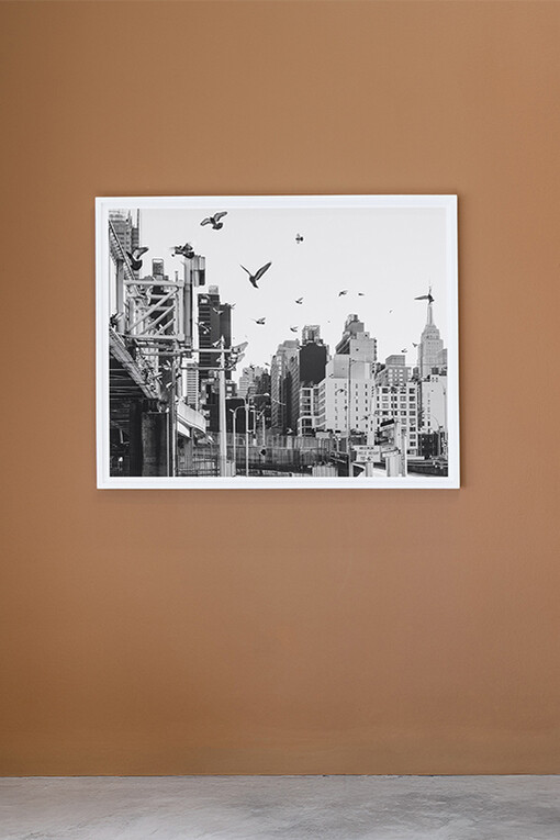 Anastasia Samoylova, Now, voyager, exhibition view. Courtesy of Dot Fiftyone Gallery