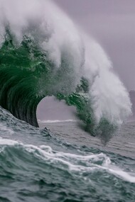La sorte del mare, infatti, appare minacciata dall’inquinamento e dagli sversamenti reiterati di sostanze inquinanti