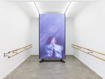 Various artists, exhibition view, curated by Tessa Praun: And tell us how to save us from ourselves, Galerie Martin Janda, 2025