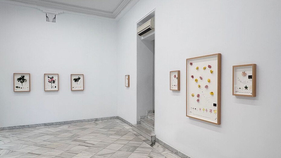 Alberto Baraya, Viaje a Galicia, vista de exhibición. Cortesía de la Galería Fernando Pradilla