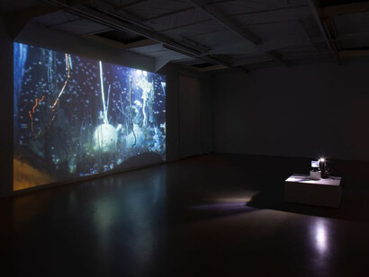 Hicham Berrada, Dilutions, vue d'exposition. Avec l'aimable autorisation de la galerie Mennour