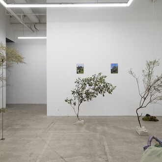 Sena Park, I touch the surface, we draw wild beauty, exhibition view. Courtesy of Enjoy Contemporary Art Space