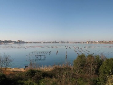 Taranto è una delle principali aree di mitilicoltura in Italia, con una tradizione che risale almeno al Medioevo. Panorama primo seno. Foto di Rossella Baldacconi