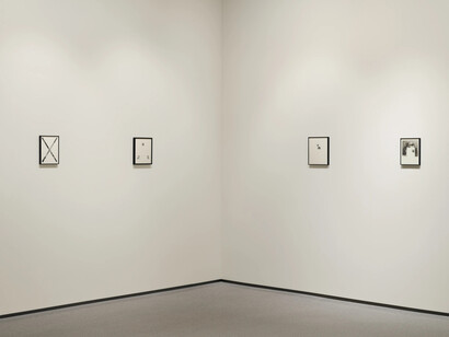 Sissi Farassat, Revelation, exhibition view. Courtesy of Edwynn Houk Gallery