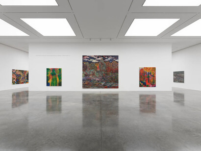 Various artists, Alien shores, exhibition view. Courtesy of White Cube Gallery