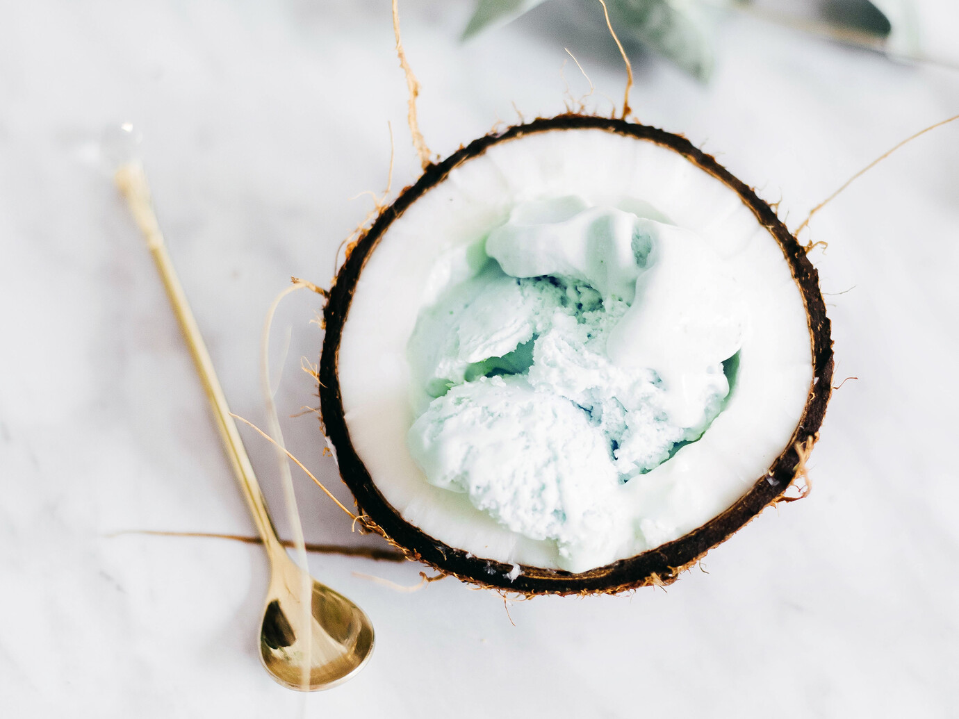 Can coconut oil prevent hair fall? Meer