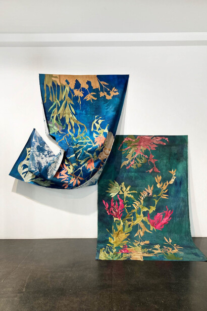 Françoise Vanneraud, Lo que aún florece, vista de exhibición. Cortesía de la Galería Ponce+Robles