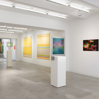 Dieter Jung, Life of colors, exhibition view. Courtesy of the Kornfeld Galerie