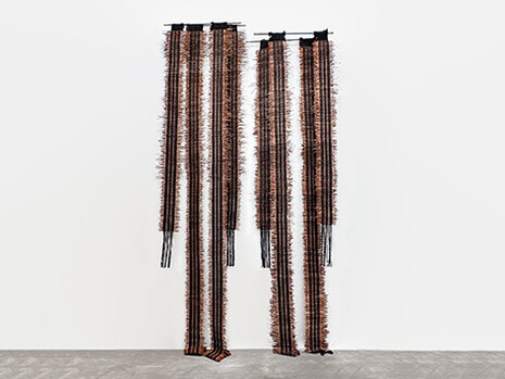 Rosana Escobar y Vanessa Gómez, Feraz encuentros con lo natural, vista de exhibición. Cortesía de Galería La Cometa