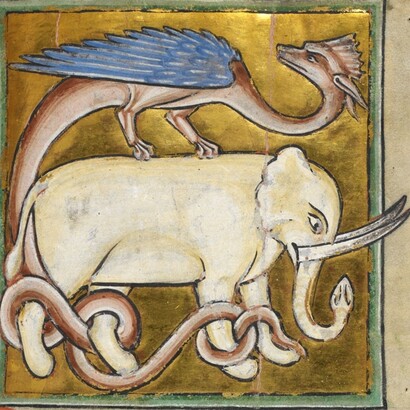 Drago e Elefante, dal Bestiario Royal MS 12 C XIX, 1200-1210. British Library, Londra, UK