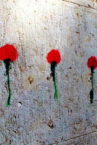 Cravos Vermelhos – Avenida da Liberdade, Lisboa 