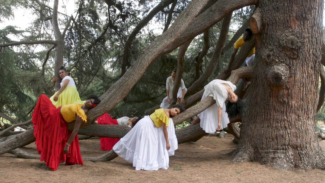 Carolina Caycedo, Apariciones/Apparitions, 2018. Courtesy of the artist, Commonwealth, Whitechapel Gallery, Council (Los Angeles) and Instituto de Visión (Bogotá/NYC)