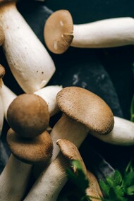 Il Pleurotus eryngii è un fungo commestibile apprezzato per il suo sapore delicato e la consistenza carnosa, ideale per molte preparazioni culinarie