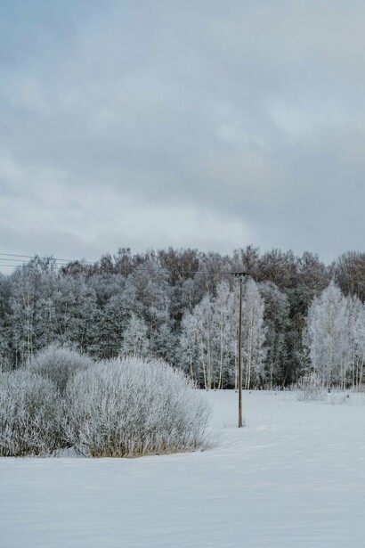 In the stillness of the frozen landscape, the flow of love quietly endures, unstoppable