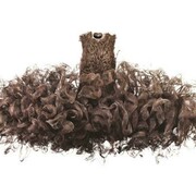 Iris van Herpen. Courtesy of Dallas Museum of Art