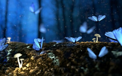 Illustrazione di un paesaggio magico-onirico con farfalle