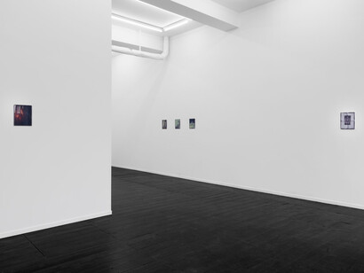 Marina Grize, Ditta Baron Hoeber, and Olivia Jia, exhibition view. Courtesy of Margot Samel Gallery