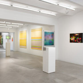 Dieter Jung, Life of colors, exhibition view. Courtesy of the Kornfeld Galerie
