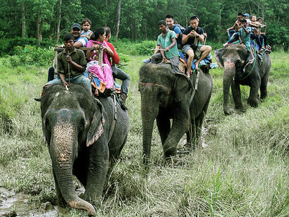 Chitwan National Park, located in Chitwan District, Nepal, is a prime destination for observing rhinos and a diverse range of wildlife