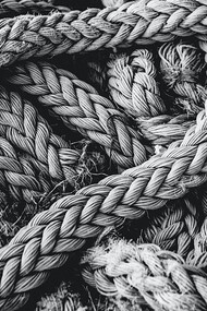 Family relationships can sometimes be complicated