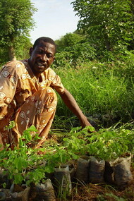Agroforestazione in Mali