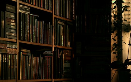 Books and books and books, a collection that is not enough