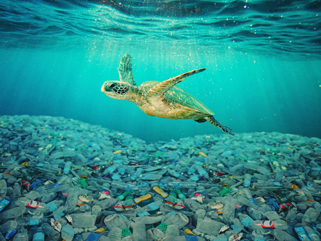 Using enzymes to biodegrade plastics Meer