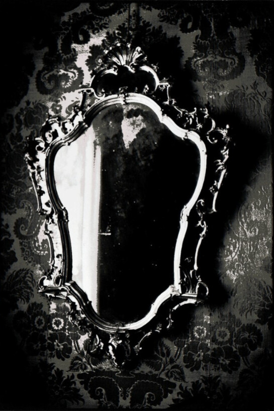 Zoe Leonard Survey Meer