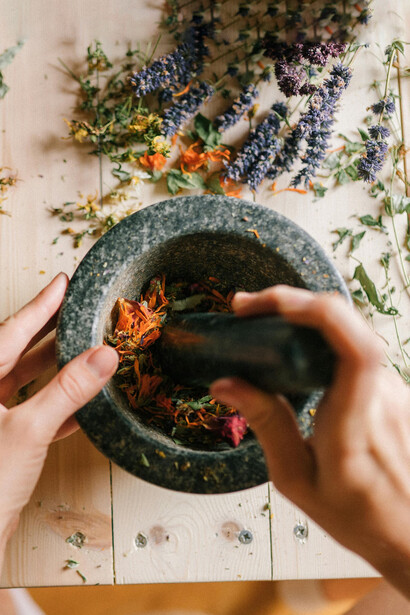 Al volver a las plantas, también se recupera una memoria ancestral que une la curación con la tierra y con la historia y el conocimiento de los pueblos