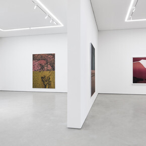 Julia Kater, Duplo, exhibition view. Courtesy of Galeria Simões de Assis