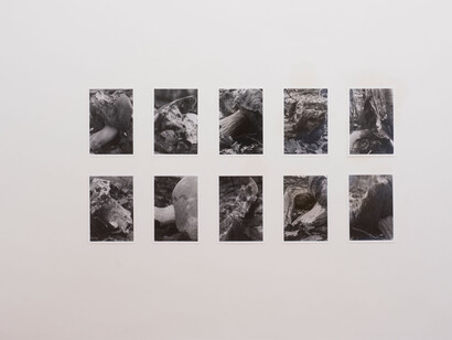 Peter Piller, Bürgerliche dämmerung, ausstellungsansicht. Mit freundlicher genehmigung der Galerie Barbara Wien