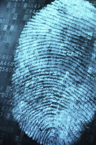 La huella de los archivos infectados