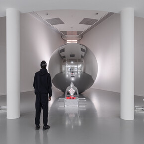 Stef Van Looveren, Cosmic body. First incision, vue de l'exposition. Avec l'aimable autorisation de M HKA